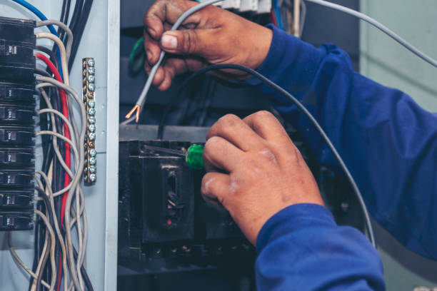 Best Electrical Wiring Services  in Le Sueur, MN